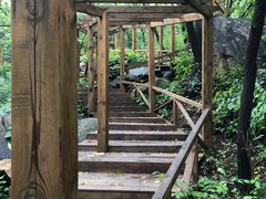 -大岭沟猕猴桃谷风景区