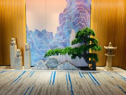 -MJ skin care国际皮肤管理中心