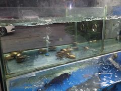 水产区-浔味·山屿湖·正宗淳牌全鱼宴老字号
