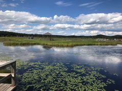 -塞罕坝国家级自然保护区