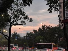 -温州体育中心游泳馆