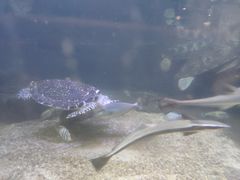 -鸿通城购物中心