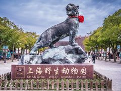 -上海野生动物园