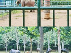 -秦皇岛野生动物园