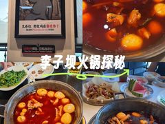 -李子坝梁山鸡(李子坝大鸡哥店)