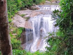 -海南热带雨林国家公园吊罗山景区