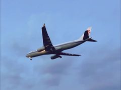 -空港花田景区