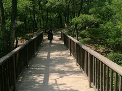 -翡翠岛