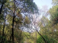 -云龙湖旅游景区