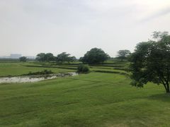 -盘龙城国家考古遗址公园