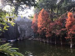 -广州市帽峰山景区