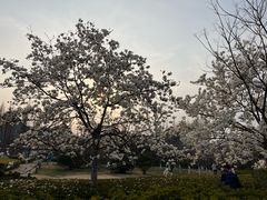 -汇泉广场