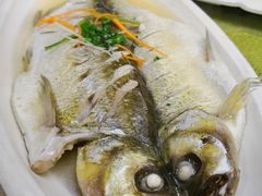 -天福苑(崇宁路店)