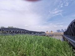-武汉知音号