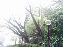 -香港大学