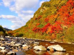 -关门山森林公园
