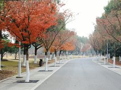 -石湖景区
