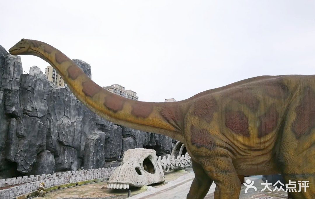 恐龙🦕来啦，有你最喜欢的恐龙🦖吗～