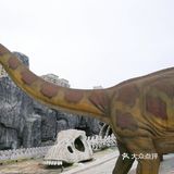 恐龙🦕来啦，有你最喜欢的恐龙🦖吗～