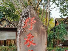 -野象谷景区