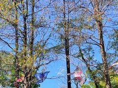 -人民公园(罗湖区)