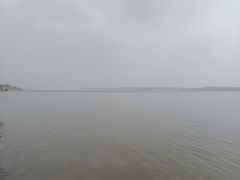 -洪湖生态旅游区