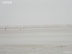 -碧海金沙