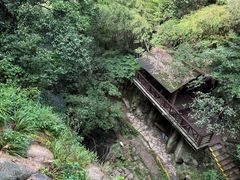 -莫干山风景区