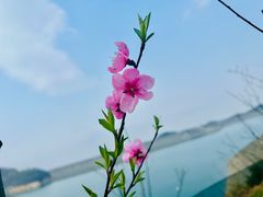 -长沙黑麋峰国家森林公园