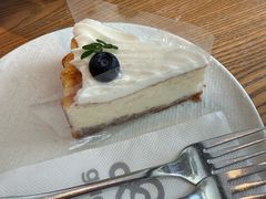 -gaga(深圳南山益田假日广场店)