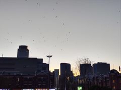 -沈阳站