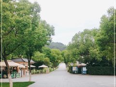 -东钱湖旅游度假区