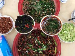 -东吴霸王兔(松青路店)