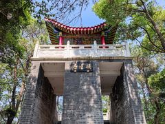 -青龙山国家森林公园