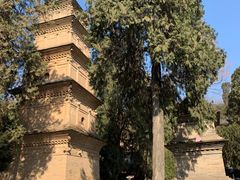 -兴教寺