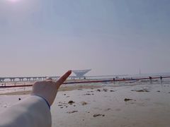 -辽宁团山国家级海洋公园