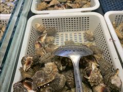 -甄品麦哲伦海鲜和牛自助(万达广场店)
