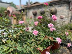 -园林美食城·本土农家菜(杨和镇店)