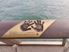 -星光大道