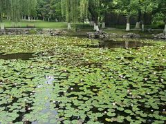 -范蠡湖公园