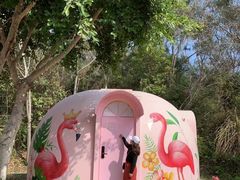 -漳州滨海火山岛自然生态风景区