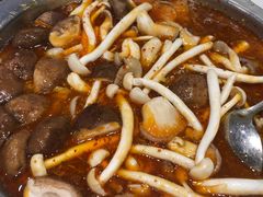 -古乐牛香·鲜牛肉牛杂火锅(梅村五洲国际店)