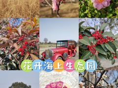 -花开海上生态园