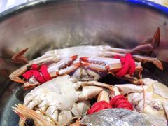 -半岛听涛蒸汽海鲜自助(K11店)
