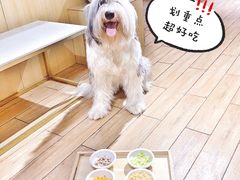 店内营养餐-Double Rui宠物酒店