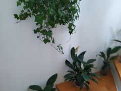 -拳力时代搏击俱乐部(旺座曲江店)