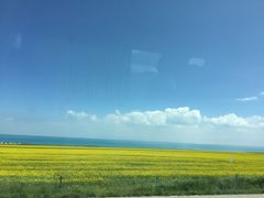 -青海湖国家重点风景名胜区