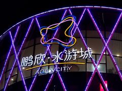 -鹏欣水游城