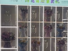 -青岛胶东国际机场