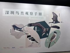 -杨梅红艺术教育(百花教学中心)